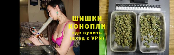 дурь Алзамай