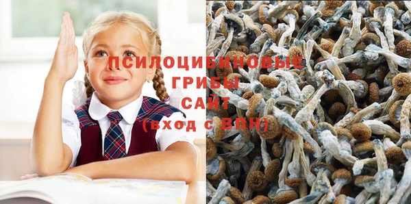 ECSTASY Алексеевка