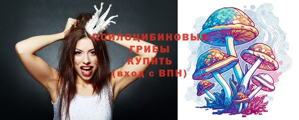 круглые Алексин