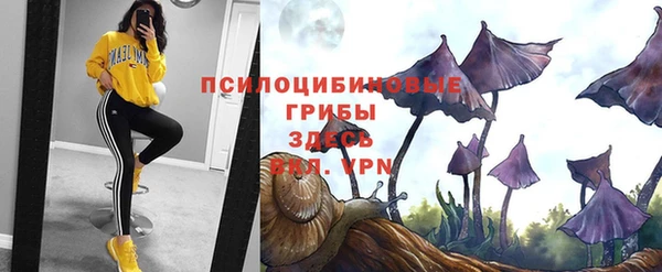 круглые Алексин